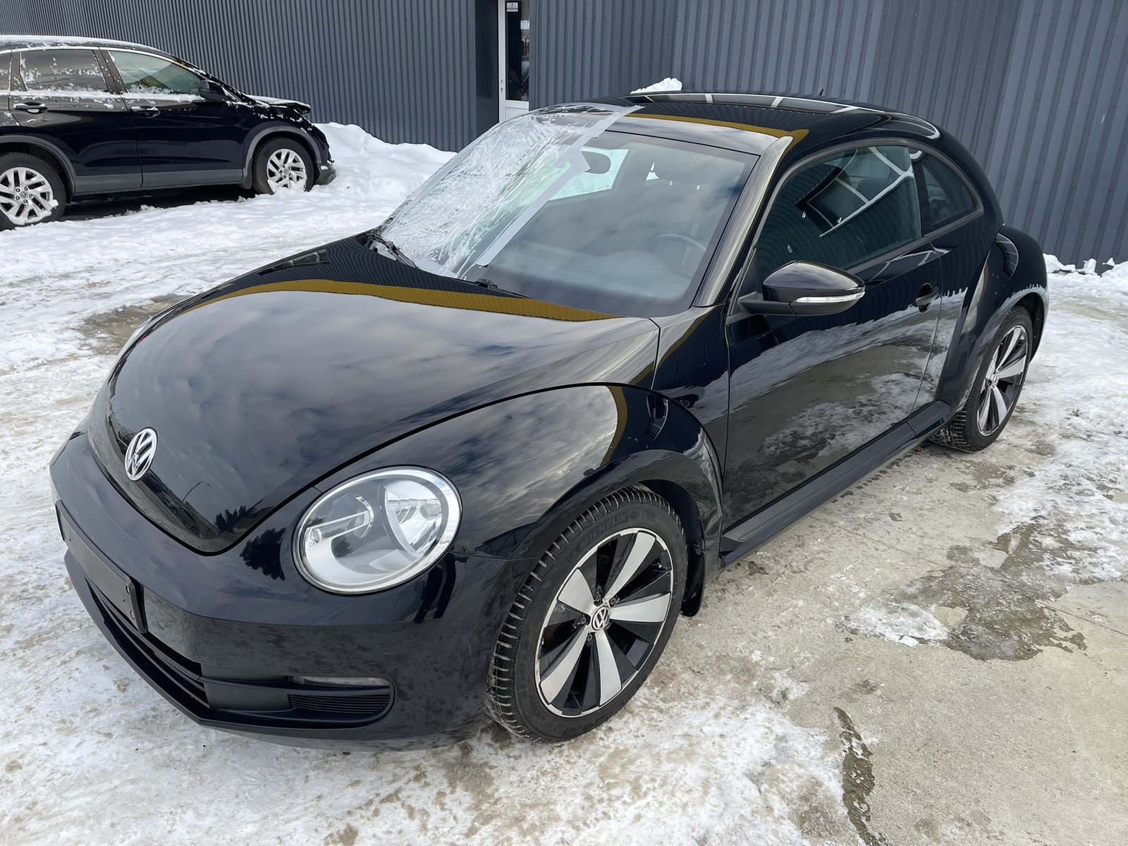 Volkswagen Beetle
