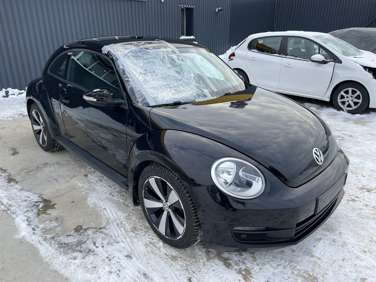Volkswagen Beetle